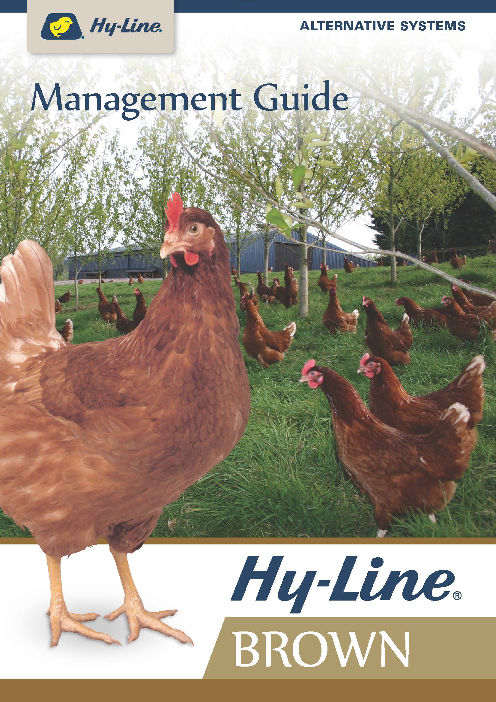 Hyline Schedule - p82ccyp