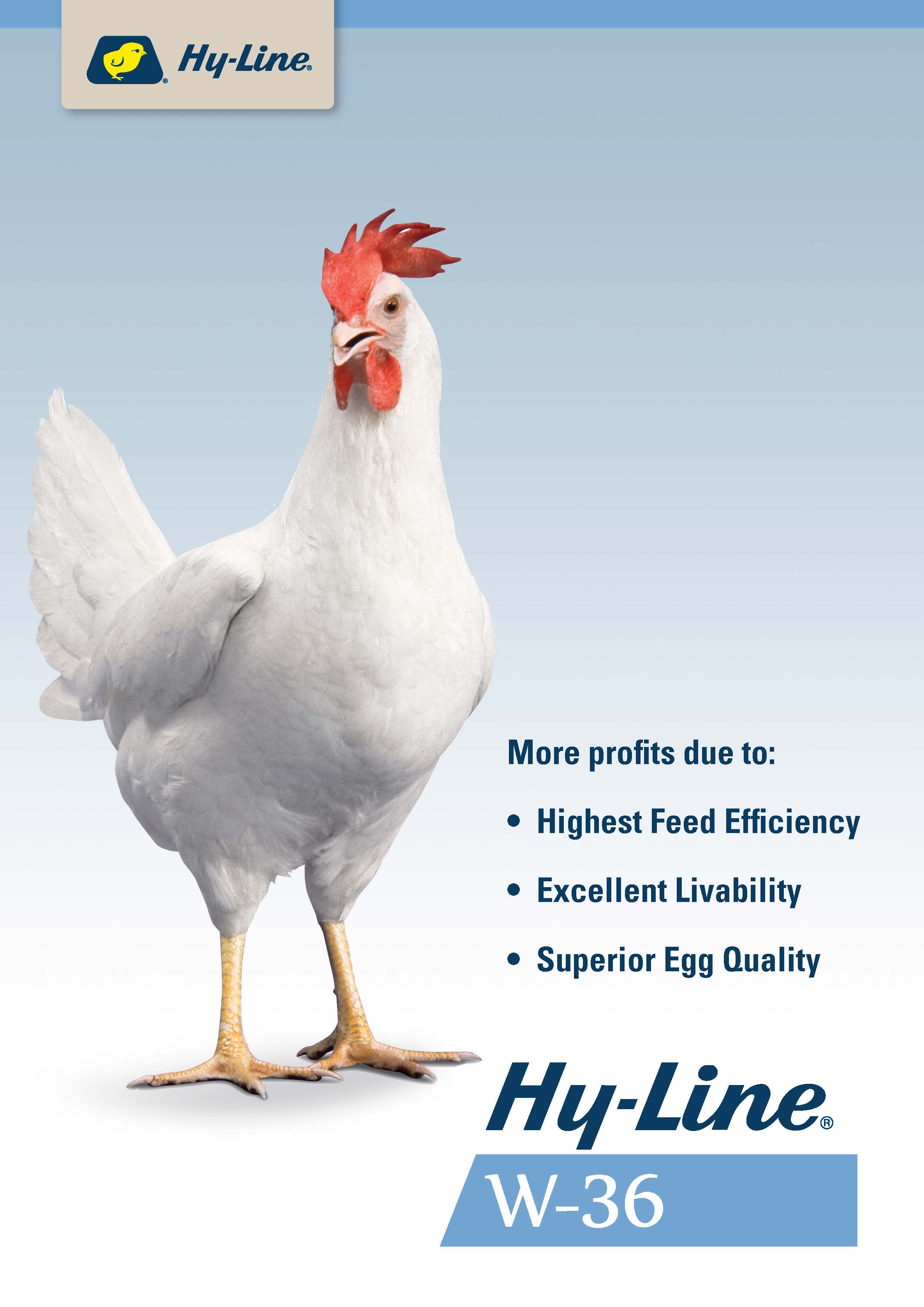 Hyline Schedule - vvz5uh9